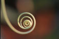 Marvelous Spiral